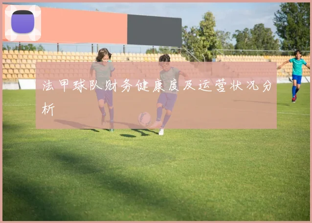 法甲球队财务健康度及运营状况分析