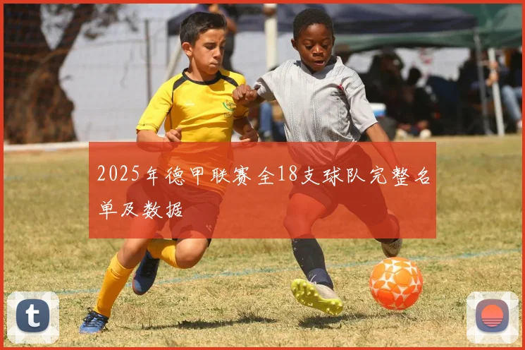 2025年德甲联赛全18支球队完整名单及数据