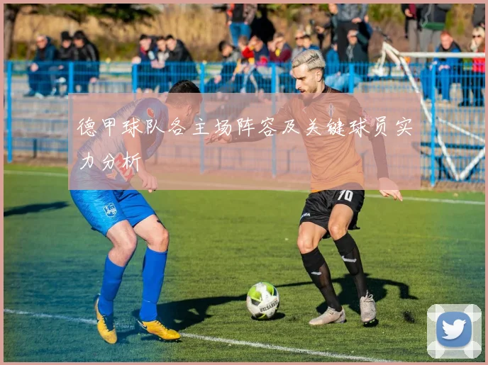 德甲球队各主场阵容及关键球员实力分析