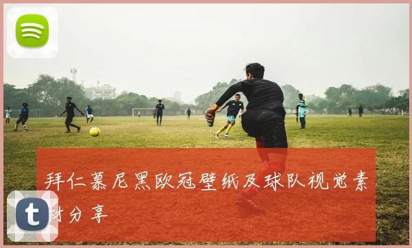 拜仁慕尼黑欧冠壁纸及球队视觉素材分享