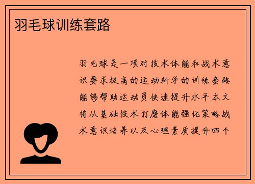 羽毛球训练套路